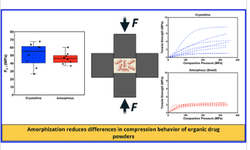 A comparative study of the tabletability of amorphous and crystalline forms of organic drugs