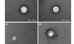 A facile and novel approach to manufacture paclitaxel-loaded proliposome tablet formulations of micro or nano vesicles for nebulization