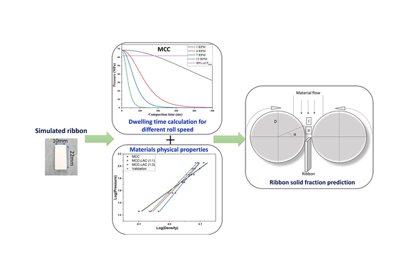 A modified mechanistic approach for predicting ribbon solid fraction at different roller compaction speeds