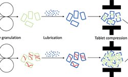 A novel approach to minimize loss of compactibility in a dry granulation process using superdisintegrants