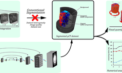 Advanced Analysis of Disintegrating Pharmaceutical Compacts Using Deep Learning-Based Segmentation of Time-Resolved Micro-Tomography Images