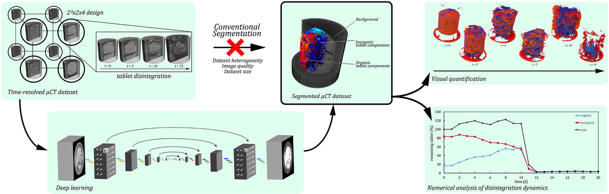 Advanced Analysis of Disintegrating Pharmaceutical Compacts Using Deep Learning-Based Segmentation of Time-Resolved Micro-Tomography Images