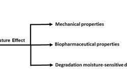 Alginate ester: New moisture-scavenging excipients for direct compressible pharmaceutical tableting