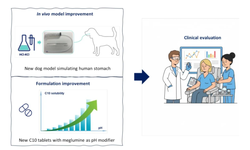 An effort to enhance the clinical translatability of caprate-based tablet formulations in gastric peptide delivery