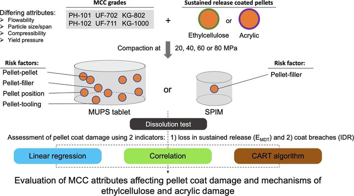 An evaluation of microcrystalline cellulose attributes affecting compaction-induced pellet coat damage through a multi-faceted analysis