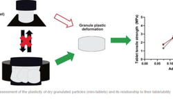 Assessment of the plasticity of dry granulated particles (mini-tablets) and its relationship to their tabletability - image
