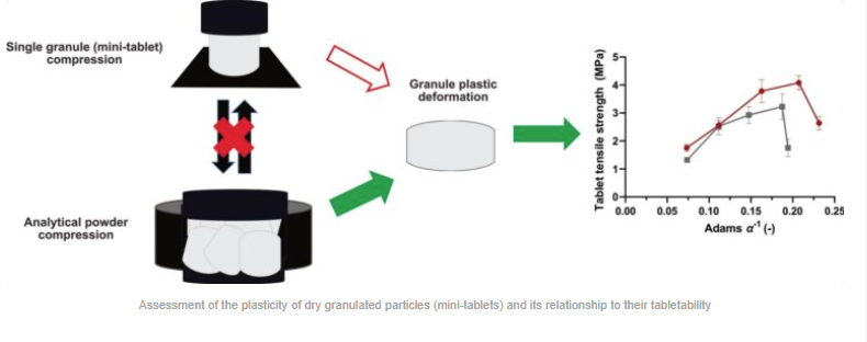 Assessment of the plasticity of dry granulated particles (mini-tablets) and its relationship to their tabletability - image