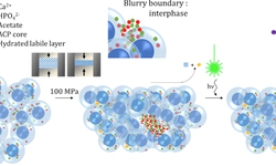 Beam‐Generated Sample Evolution to Emphasize Spatial Inhomogeneities: The Example of HPO <sub>4</sub> <sup>2−</sup> ‐Containing Amorphous Calcium Phosphate