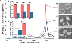 Calcium Phosphate Microcapsules as Multifunctional Drug Delivery Devices