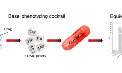 CombiCap: A novel drug formulation for the basel phenotyping cocktail