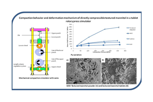 Compaction behavior and deformation mechanism of directly compressible textured mannitol in a rotary tablet press simulator