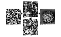 Comparison of compression and material properties of differently shaped and sized paracetamols