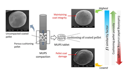 Cushioning pellets based on microcrystalline cellulose – Crospovidone blends for MUPS tableting