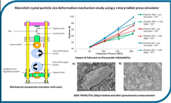 Deformation behavior of crystallized mannitol during compression using a rotary tablet press simulator