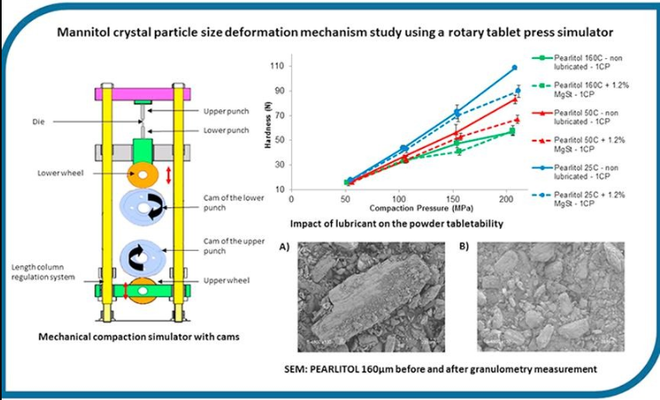 Deformation behavior of crystallized mannitol during compression using a rotary tablet press simulator