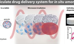 Development of a multiparticulate drug delivery system for in situ amorphisation
