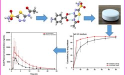Development of direct compression Acetazolamide tablet with improved bioavailability in healthy human volunteers enabled by cocrystallization with p-Aminobenzoic acid