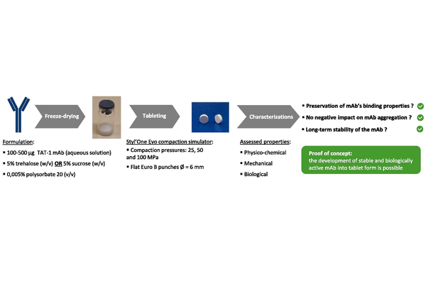 Development of monoclonal antibodies in tablet form: A new approach for local delivery