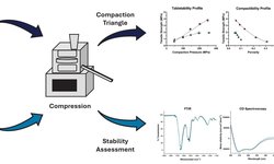 Direct compression peptide tablets: insights into the importance of permeation enhancer processibility and peptide stability