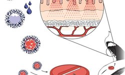 Drug loading mechanism of hollow hydroxyapatite microcapsules