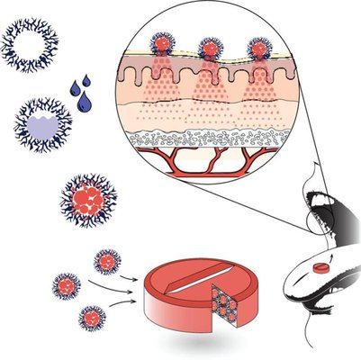 Drug loading mechanism of hollow hydroxyapatite microcapsules