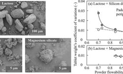 Effect-of-additives-and-operating-conditions-on-tablet-weight-variation - image