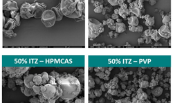Effect of Polymers and Drug Loadings on the Performance of Itraconazole Spray- dried Dispersions (SDDs)