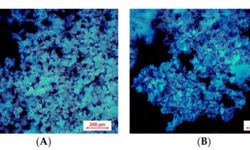 Effervescent Tablet Preparation by Twin-Screw Melt Granulation with Sorbitol as a Melt Binder - image