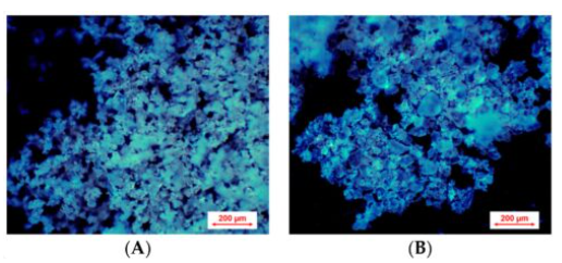 Effervescent Tablet Preparation by Twin-Screw Melt Granulation with Sorbitol as a Melt Binder - image