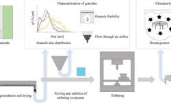 Evaluation of binders in twin-screw wet granulation – Optimization of tabletability