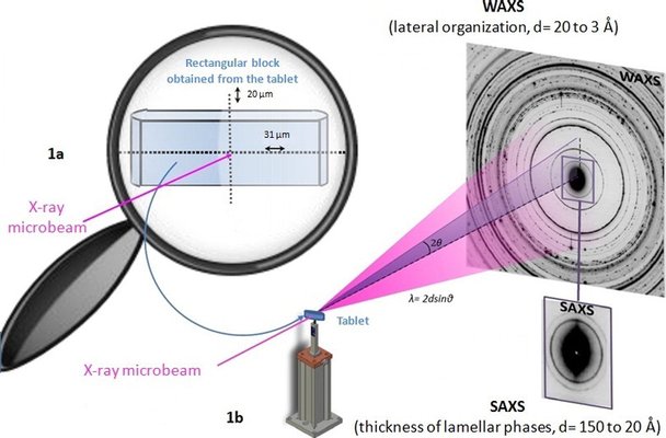 Exploring the possible relationship between the drug release of Compritol®-containing tablets and its polymorph forms using micro X-ray diffraction