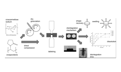 Functionality of disintegrants with different mechanisms after roll compaction