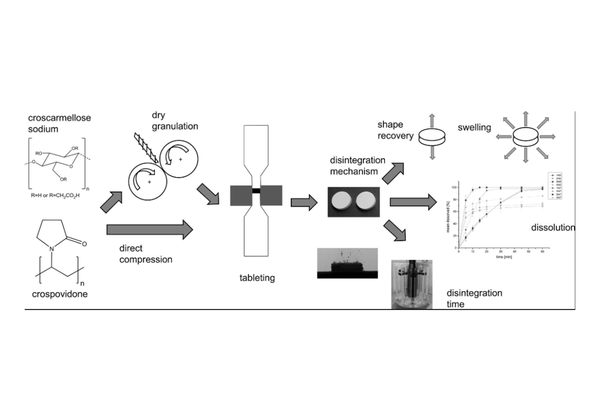 Functionality of disintegrants with different mechanisms after roll compaction