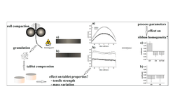 How relevant is ribbon homogeneity in roll compaction/dry granulation and can it be influenced?