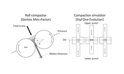 Hybrid modeling of roll compaction processes with the STYL'One Evolution: granule size distribution