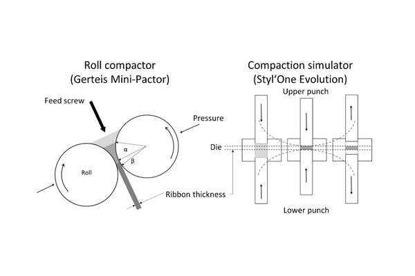 Hybrid modeling of roll compaction processes with the STYL'One Evolution: granule size distribution