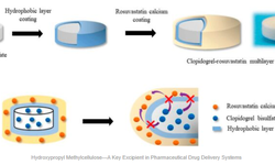 Hydroxypropyl methylcellulose—a key excipient in pharmaceutical drug delivery systems - image