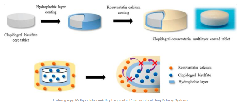 Hydroxypropyl methylcellulose—a key excipient in pharmaceutical drug delivery systems - image
