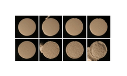 Image analysis quantification of sticking and picking events of pharmaceutical powders compressed on a rotary tablet press simulator