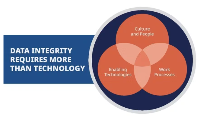 Image data integrity