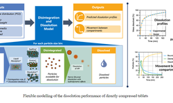 Image flexible modelling of the dissolution performance of directly compressed tablets