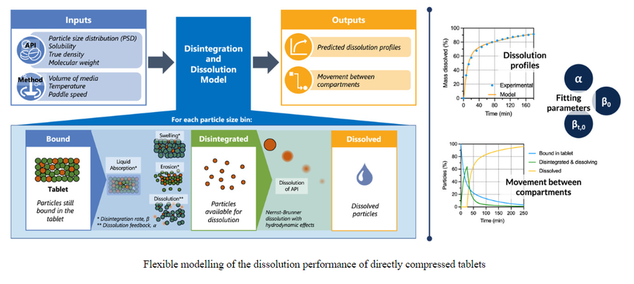 Image flexible modelling of the dissolution performance of directly compressed tablets