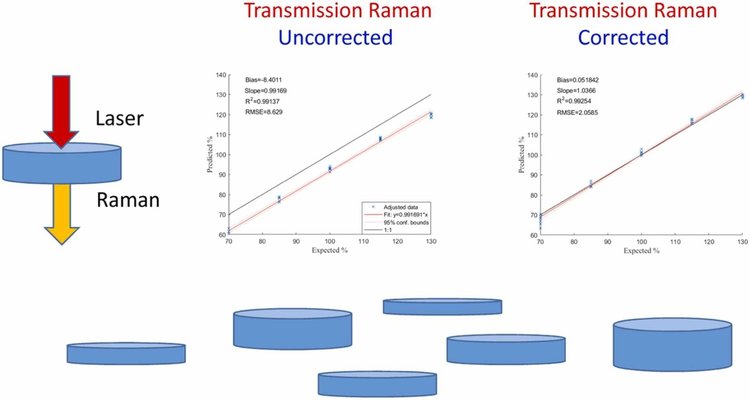 Impact and mitigation of near infrared absorption in quantitative Transmission Raman Spectroscopy