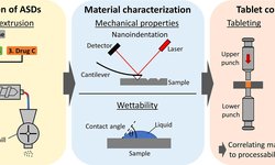 Impact of incorporated drugs on material properties of amorphous solid dispersions