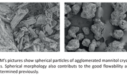 Impact of the lubricant mixing time on the compactibility and disintegration time for mannitol compacts