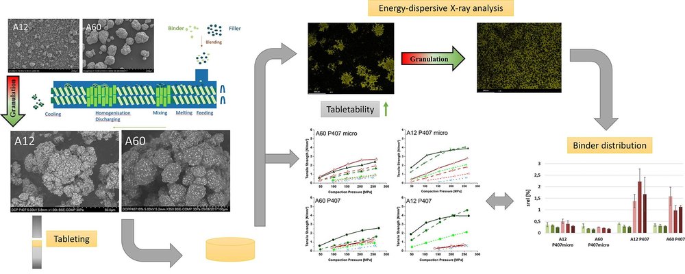 Improvement of tabletability via twin-screw melt granulation: Focus on binder distribution