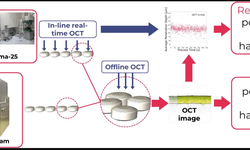 In-line porosity and hardness monitoring of tablets by means of optical coherence tomography