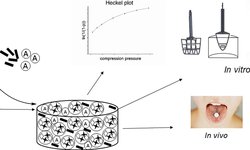 In vitro characterization and mouthfeel study of functionalized calcium carbonate in orally disintegrating tablets