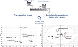 Influence of binder attributes on binder effectiveness in a continuous twin screw wet granulation process via wet and dry binder addition