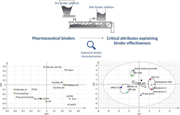 Influence of binder attributes on binder effectiveness in a continuous twin screw wet granulation process via wet and dry binder addition